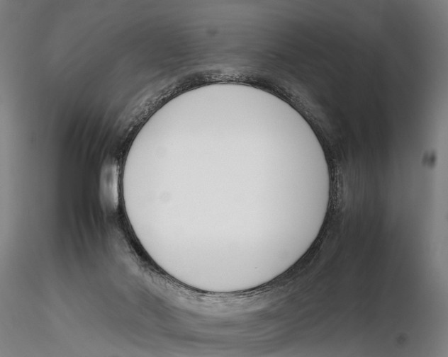 X0000115720022200912101439
