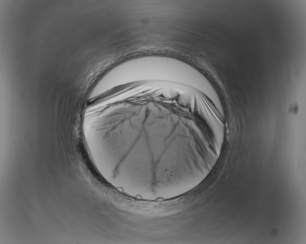 X0000115720023200912101439