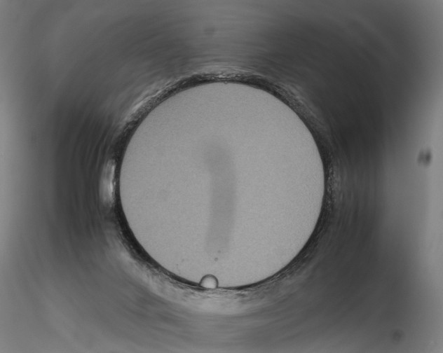 X0000115720024200912101439