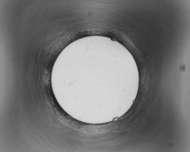 X0000115720025200912101439