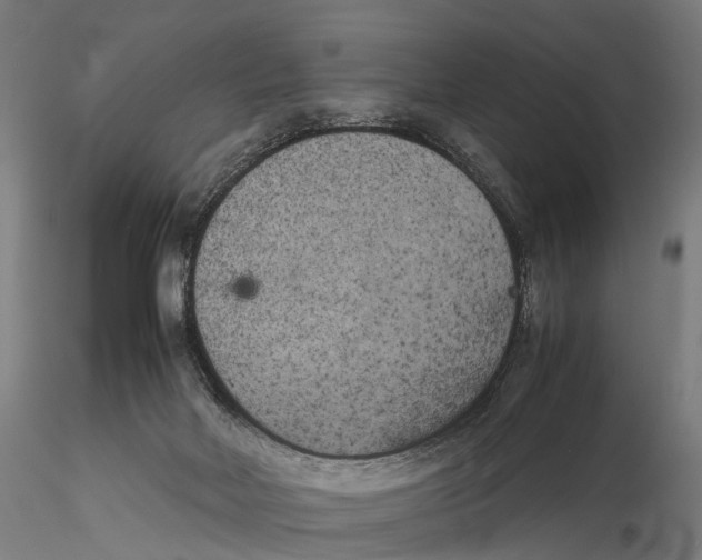X0000115720026200912101439