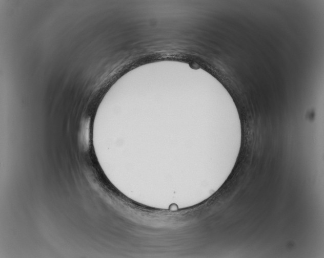 X0000115720028200912101439