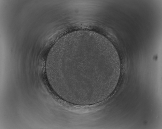 X0000115720029200912101439