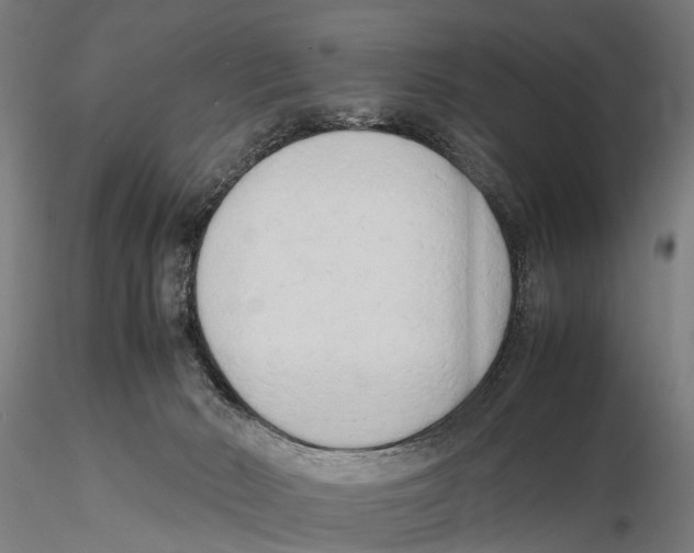 X0000115720030200912101439