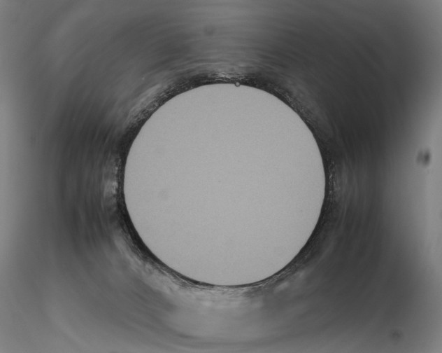 X0000115720032200912101439