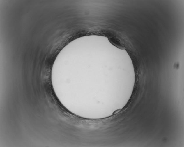X0000115720033200912101438