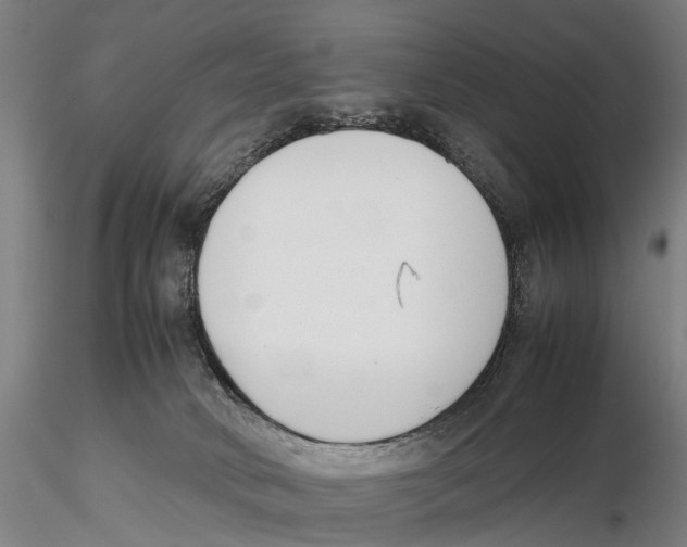 X0000115720034200912101438