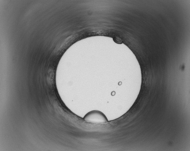 X0000115720036200912101438