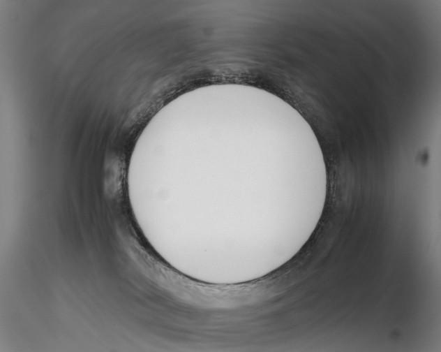 X0000115720038200912101438