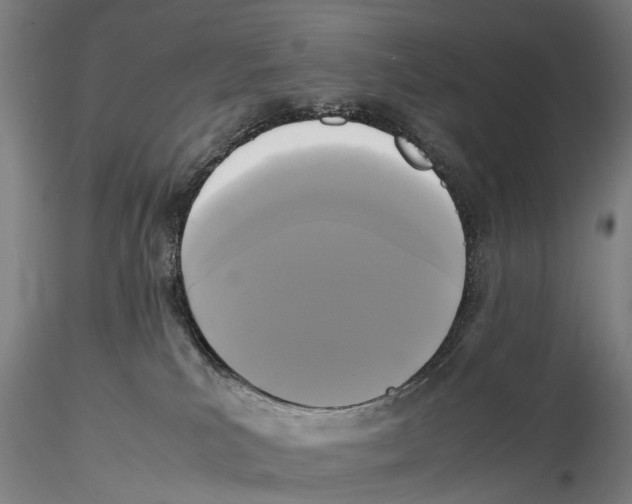 X0000115720039200912101438