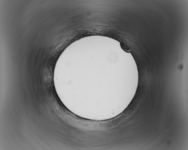 X0000115720040200912101438