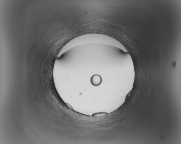 X0000115720043200912101438