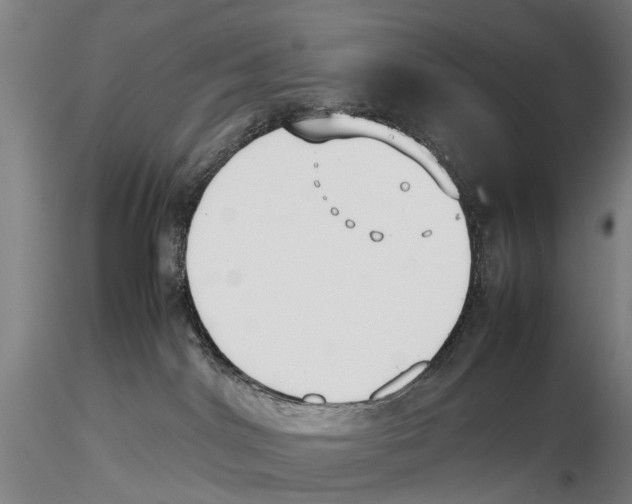 X0000115720044200912101438