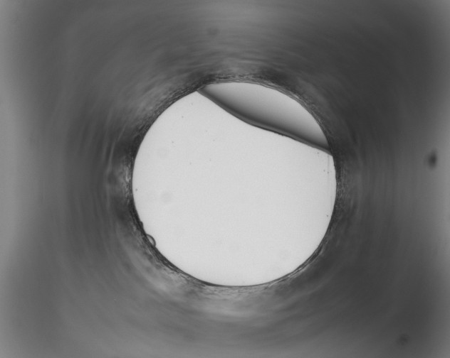 X0000115720045200912101438
