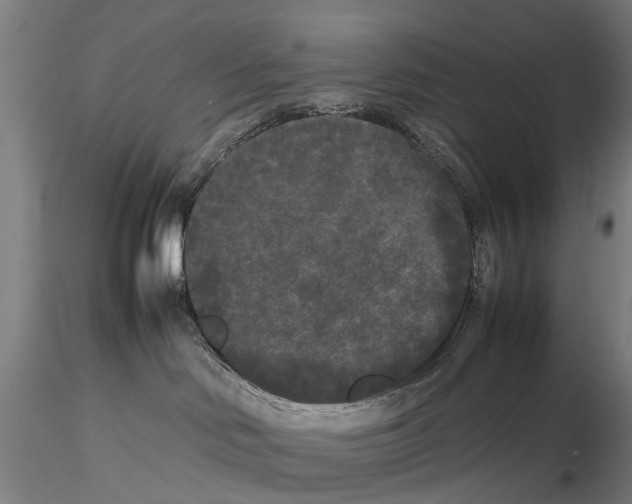 X0000115720046200912101438