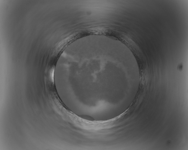 X0000115720047200912101438
