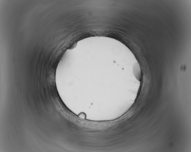 X0000115720048200912101438