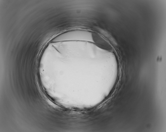 X0000115720049200912101438