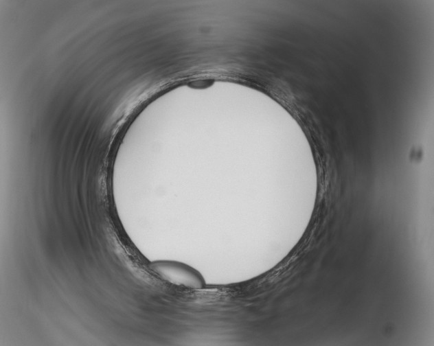 X0000115720050200912101438