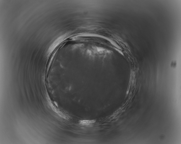 X0000115720051200912101438