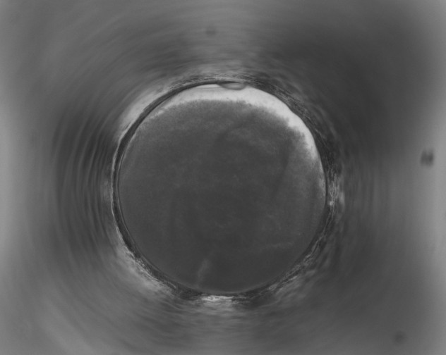 X0000115720052200912101438
