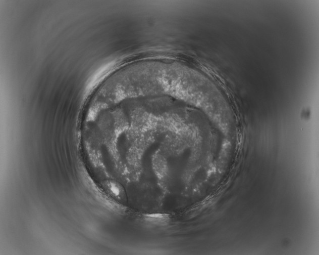 X0000115720053200912101438