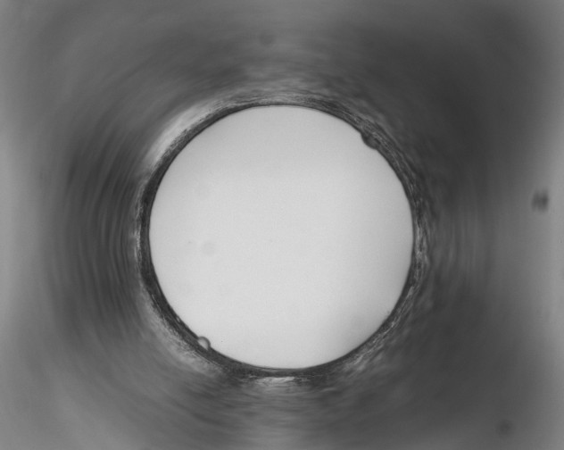 X0000115720054200912101438