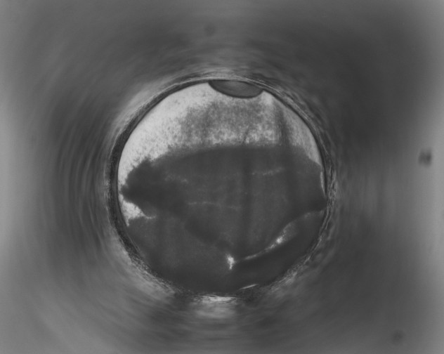 X0000115720055200912101438