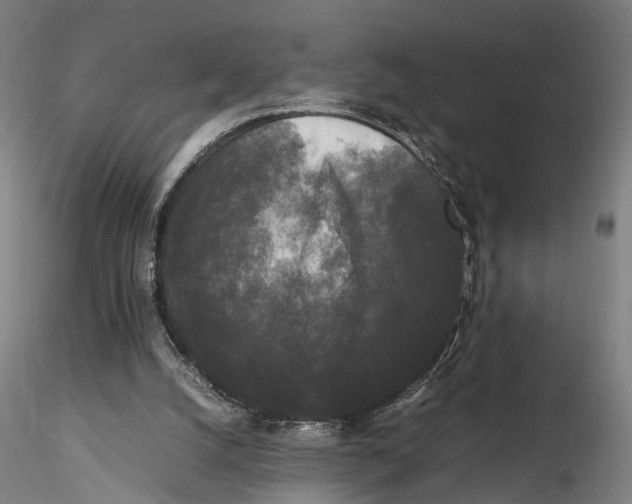 X0000115720056200912101438