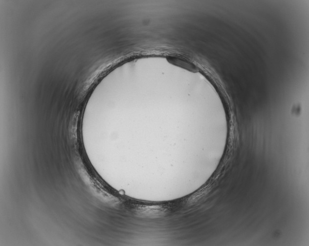 X0000115720058200912101438