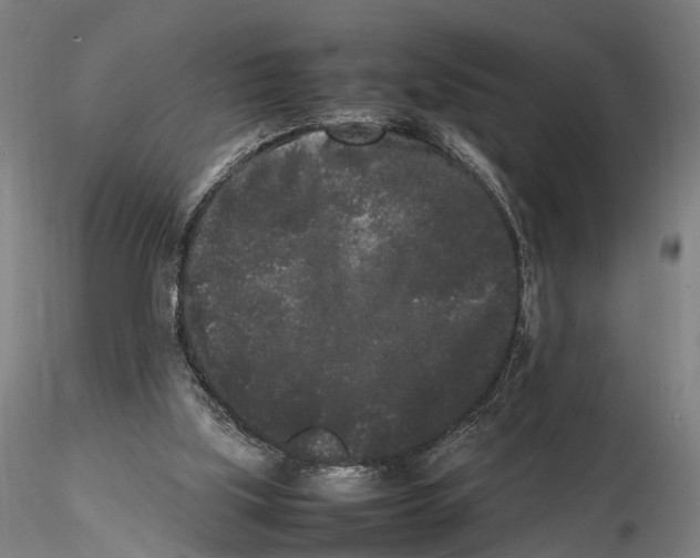 X0000115720059200912101438