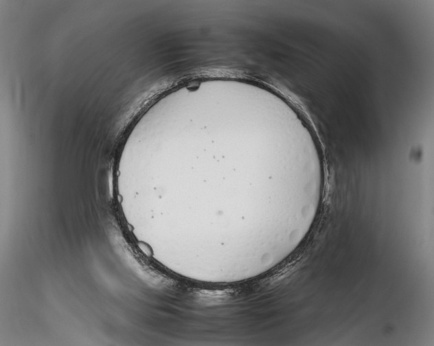 X0000115720061200912101438
