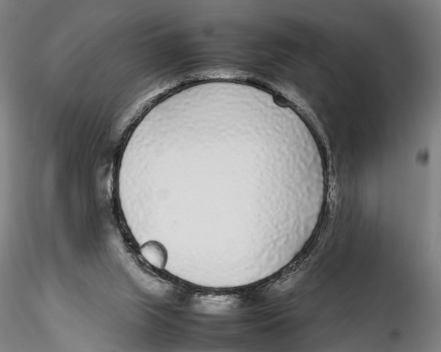 X0000115720063200912101438