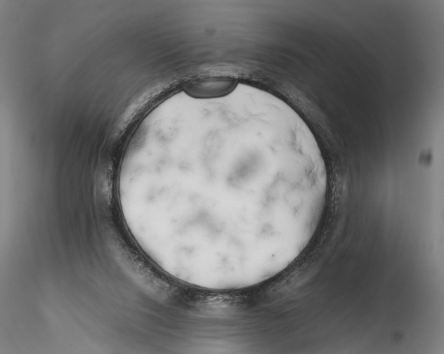 X0000115720064200912101438