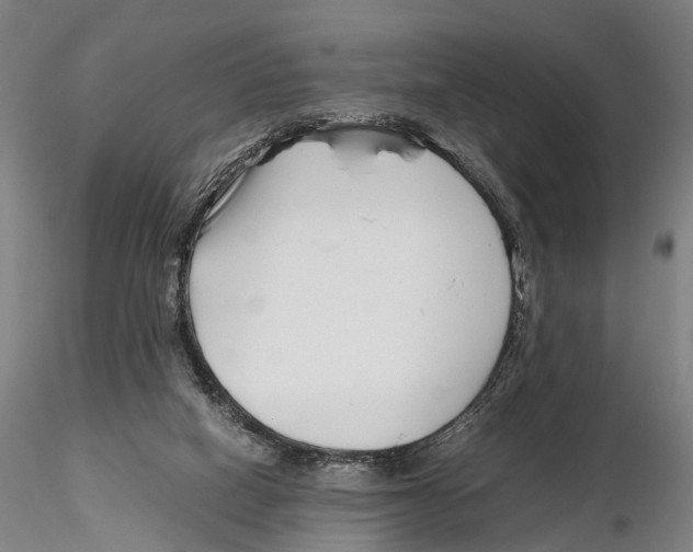 X0000115720066200912101438