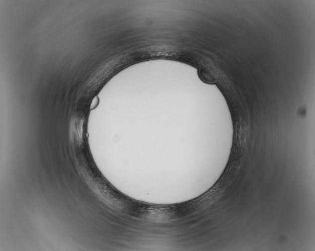 X0000115720070200912101438