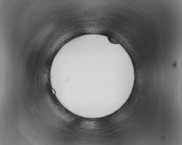 X0000115720071200912101438