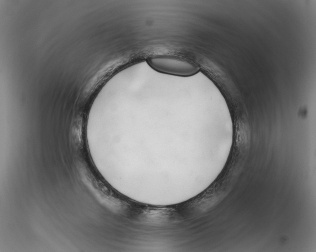 X0000115720072200912101438
