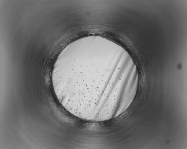 X0000115720074200912101438