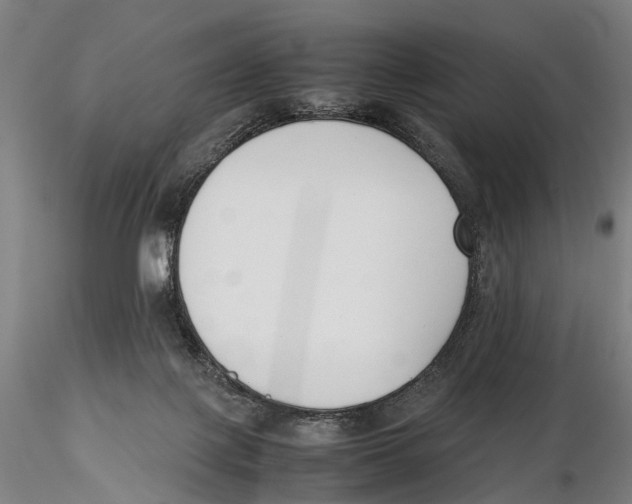 X0000115720075200912101438