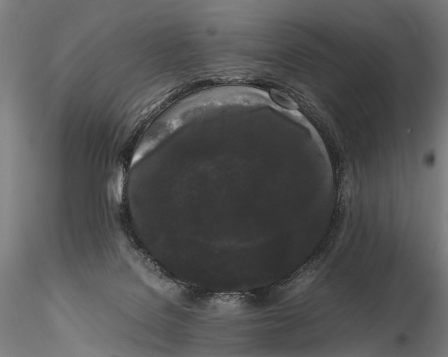 X0000115720076200912101438