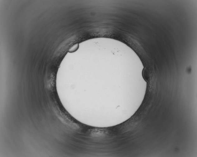 X0000115720077200912101438