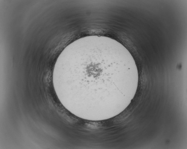 X0000115720079200912101438