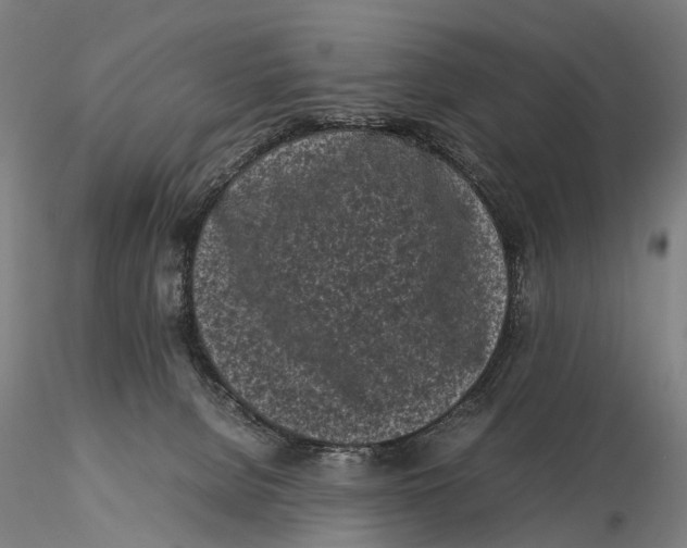 X0000115720080200912101438
