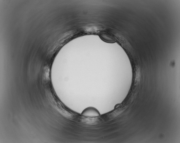 X0000115720081200912101438