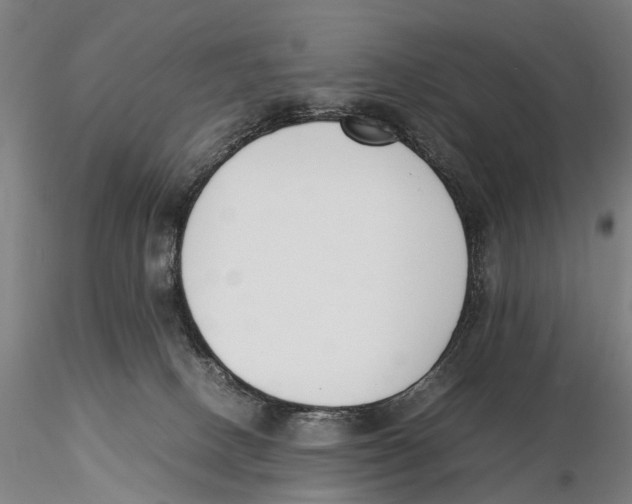 X0000115720082200912101438