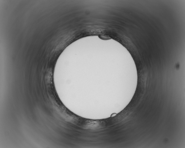 X0000115720083200912101438