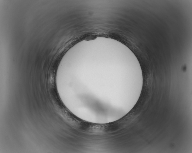 X0000115720084200912101438