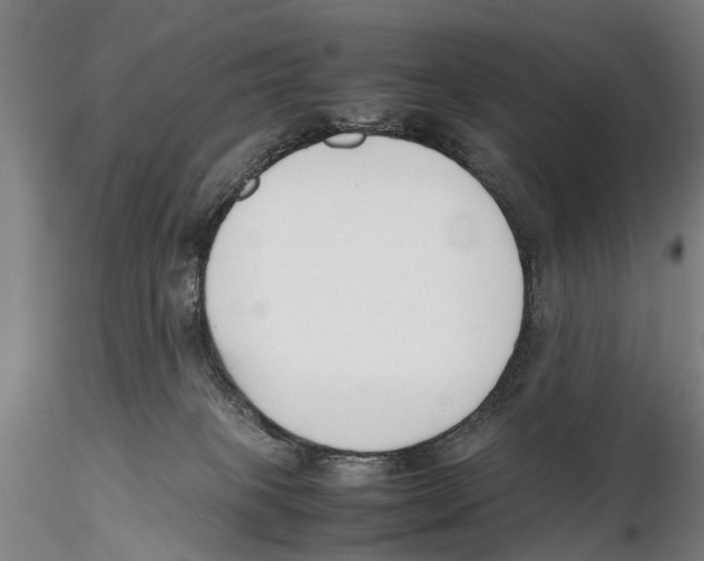 X0000115720085200912101438
