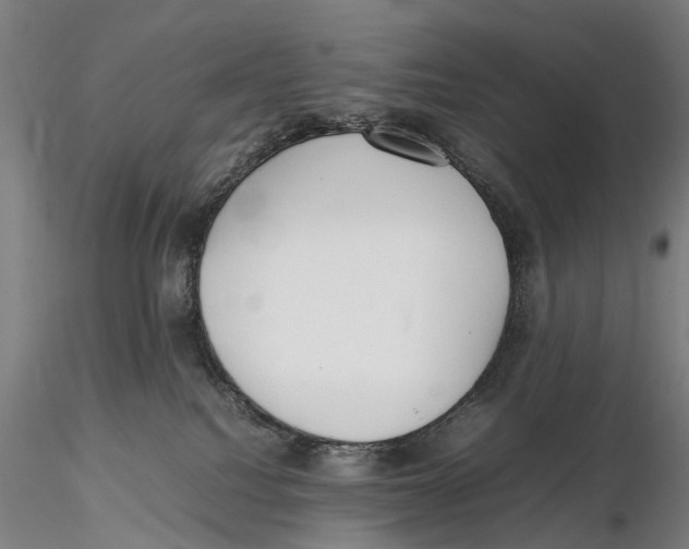 X0000115720088200912101438